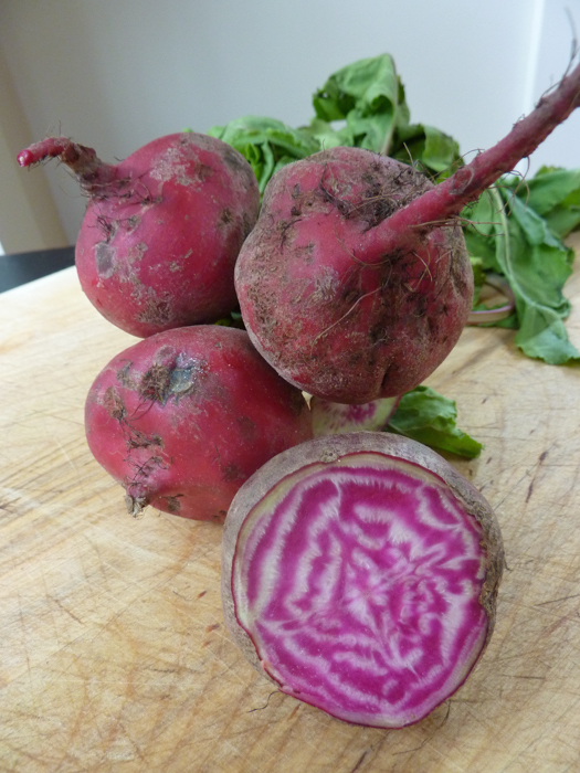 chioggia beets regional foods private tours